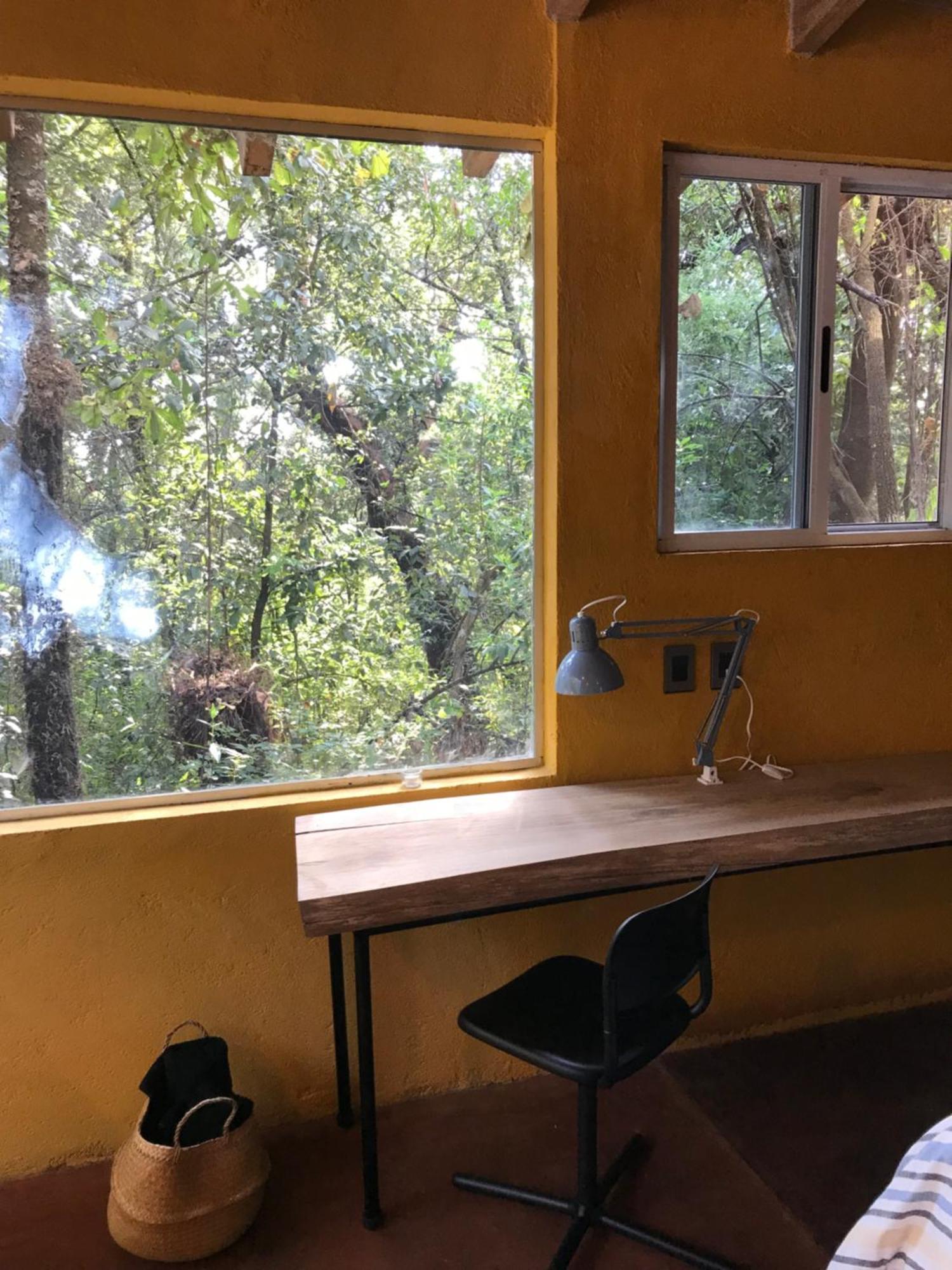 La Cabana Azul Al Fondo Del Bosque De Tepoztlán Extérieur photo