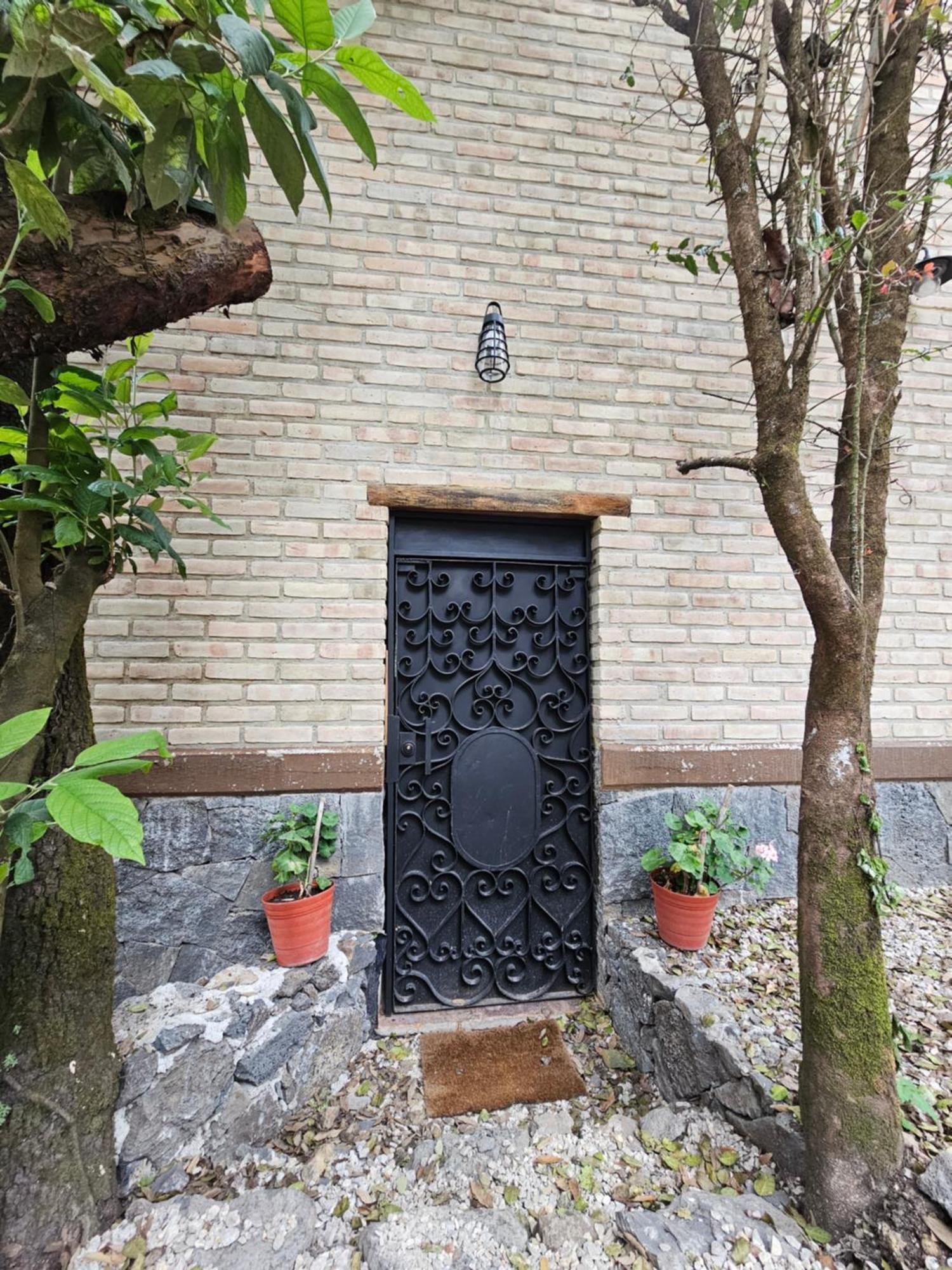 La Cabana Azul Al Fondo Del Bosque De Tepoztlán Extérieur photo